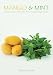 Mango & Mint: Arabian, Indian, and North African Inspired Vegan Cuisine (Tofu Hound Press)