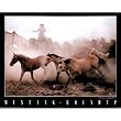 (16x20) Mustang Roundup (Animals) Photo Print Poster