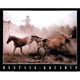 (16x20) Mustang Roundup (Animals) Photo Print Poster