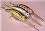 3 Custom PZ3 Deep Divers - Fishing Lures - Crankbaits