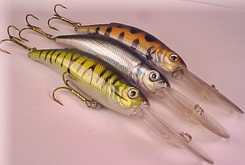 Cover image : 3 Custom PZ3 Deep Divers - Fishing Lures - Crankbaits