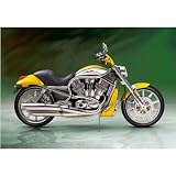 Castorland - Puzzle 1000 pièces - Harley-Davidson Street Rod