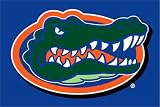 NCAA Florida Gators 20 x 30 Rug