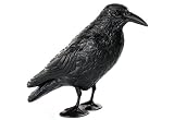 Tauben-Schreck Krähe Kunststoff