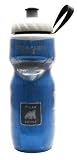 Polar Insulated Water Bottle (20-Ounce, Blue)
