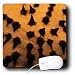 Kike Calvo Animals - Maria La Gorda, Guanahacabibes UNESCO Biosphere Reserve, Cuba, Caribbean aquatic terrestrial - Mouse Pads