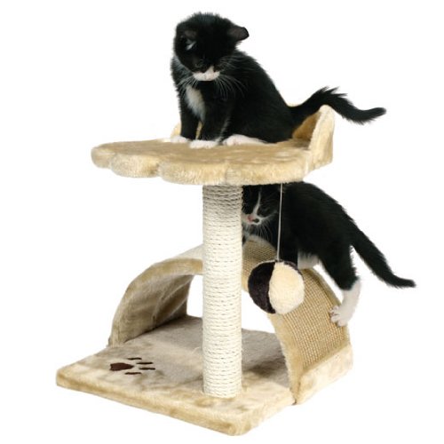 Vitoria Kitten Scratching Post