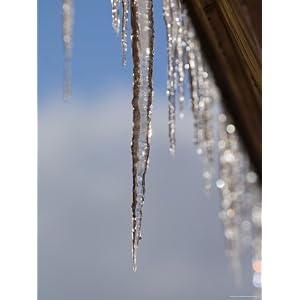 Detail of Icicles Melting in Truckee, Lake Tahoe, California Photographic Poster Print