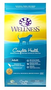 Wellness Complete Health Whitefish & Sweet Potato Natural Dry Dog Food, 30-Pound Bag