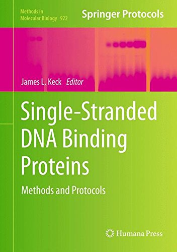 Single-Stranded DNA Binding Proteins: Methods and Protocols (Methods in Molecular Biology)