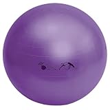 FitBALL Exercise Ball Package - 55 cm Color: Pearl (PKG-FB55P)