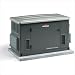 18 kW Automatic Start Standby Natural Gas Generator
