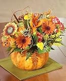 Pretty as a Pumpkin