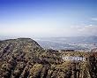 Hooray for Hollywood Photograph - Beautiful 16"x20" Photographic Print by Carol M. Highsmith