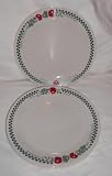 Corelle Farm Fresh Dinner Plates Set of 5 plates 10 1/4" Corelle Farm Fresh Dinner Plates Set of 5 plates 10 1/4"