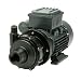 Finish Thompson DB5V-T-M613 Centrifugal Magnetic Drive Pump, PVDF, 1/4 HP, 115V, 1 Phase, 35.2 Max Feet of Head, 19.4 gpm