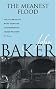 The Meanest Flood (Sam Turner Series) The Meanest Flood (Sam Turner Series)