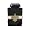 New Orleans Saints
