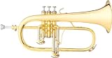 B&S 3145-L Challenger I Bb Flugelhorn (Lacquer)