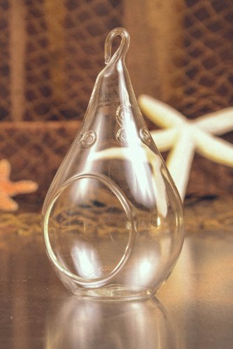 Hinterland Trading Hanging Glass Teardrop Globe Terrarium for Decoration Hinterland Trading Hanging Glass Teardrop Globe Terrarium for Decoration