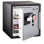 fire safe a3821 advanced safe with electronic lock, 16 3/8w x 18 5/8d x 17 7/8h (SENA3821) Category: Fireproof Safes