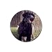 Labrador Retriever Lab Rubber Round Coaster (4 pack)