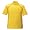 Mango Yellow