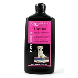 Miracle Coat Puppy Shampoo 16 oz.