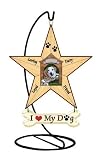 Millwork Engineering Doghouse Photo Frame- Mini Star w/stand, 6 X 5 Resin Star w/ banner, by The Craft Room, Model # 30046