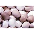 Food Industry & Agriculture History 23 DVD Collection: History of Food, Drink, Meat, Fruits, & Farming Movies Sale
