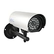 SVAT CV31 Hi-Res Outdoor CCD Security Camera w/Long Range Night Vision ~ SVAT