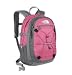 The North Face Isabella Backpack - Women's - 1220cu in Utterly Pink, One Size