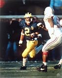 Charles Woodson Michigan Wolverines - Action - Autographed 16x20 Photograph