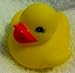 Search : Classic Yellow Rubber Ducky 2" Party Favors