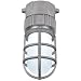 Phoenix VA Aluminum Ceiling Mount Metallic LED Vaporproof Fixture, 100-277VAC, 4-3/32" Length x 12" Height