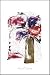 Candy Blooms by Ian King Art Print Poster 24.5 x 36.5