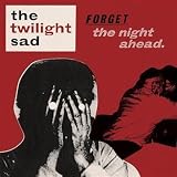 Forget The Night Ahead [VINYL]