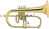 Courtois AC154-1-0 Professionel Bb Flugelhorn, Silver