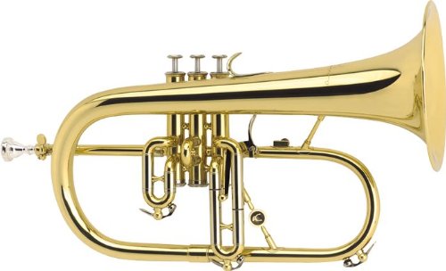 Courtois AC154-1-0 Professionel Bb Flugelhorn, Silver