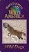 Marty Stouffer's Wild America: Wild Dogs
