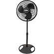 Fans