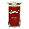 Soy Basics Seed Soy Candle, Cinnamon Spice, 18.5-Ounce