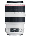 Canon EF 70-300mm f/4-5.6L IS USM UD Telephoto Zoom Lens for Canon EOS SLR Cameras