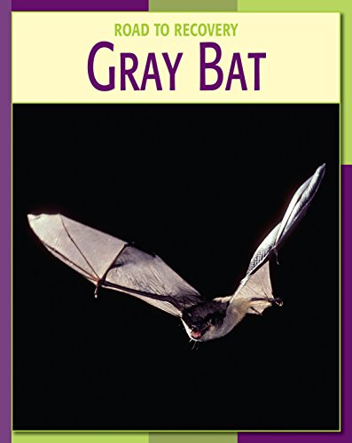 Gray Bat (21st Century Skills Library: Road to Recovery)
