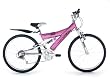 Raleigh 24" Roxz...
