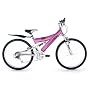 Raleigh 24" Roxz Dual Suspension Girls