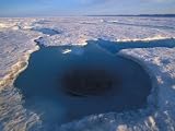 Seal Hole on Arctic Sea Ice, Nunavut, Canada Photographic Poster Print by Nick Norman, 16x12