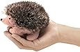 Folkmanis Mini Hedgehog Finger Puppet