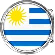 Uruguay Flag Belt Buckle