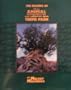 The Making Of Disney's Animal Kingdom Theme Park